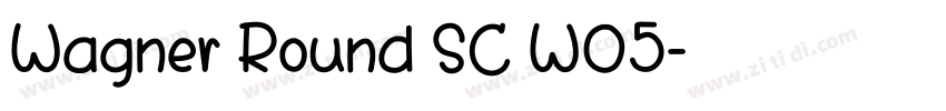 Wagner Round SC W05字体转换